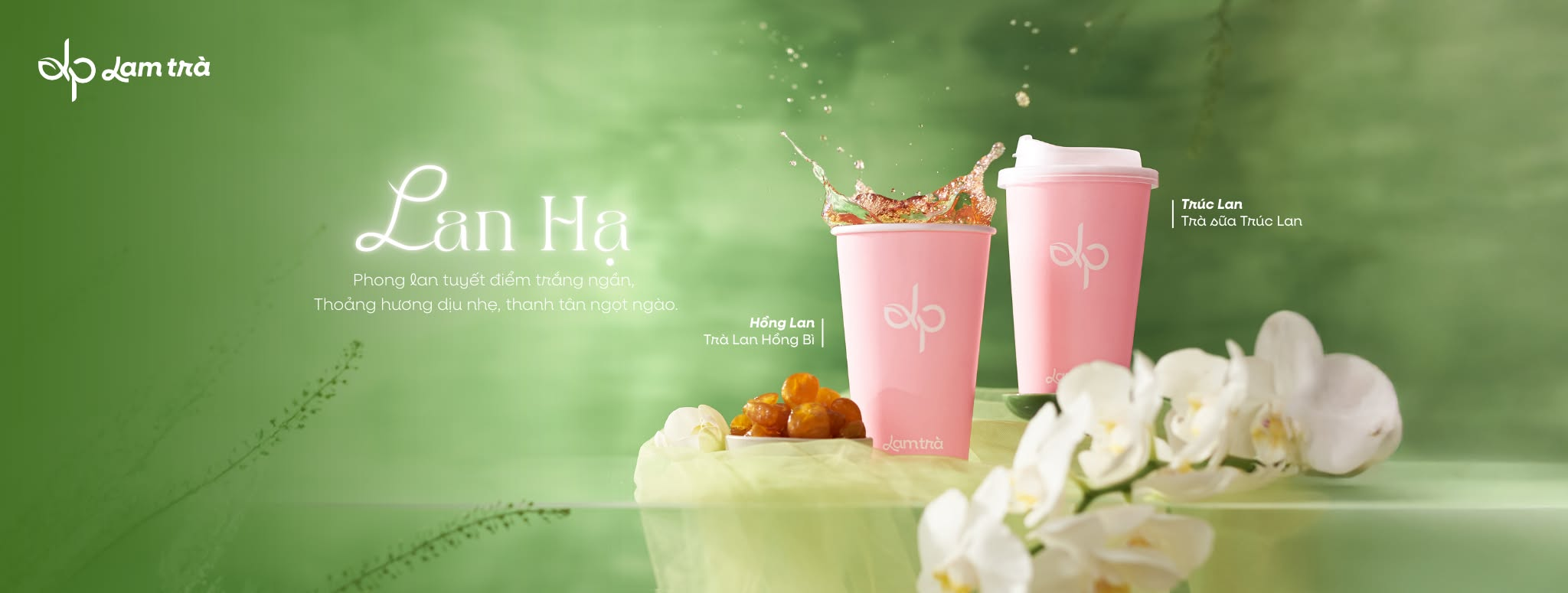 Bộ sưu tập đặc biệt