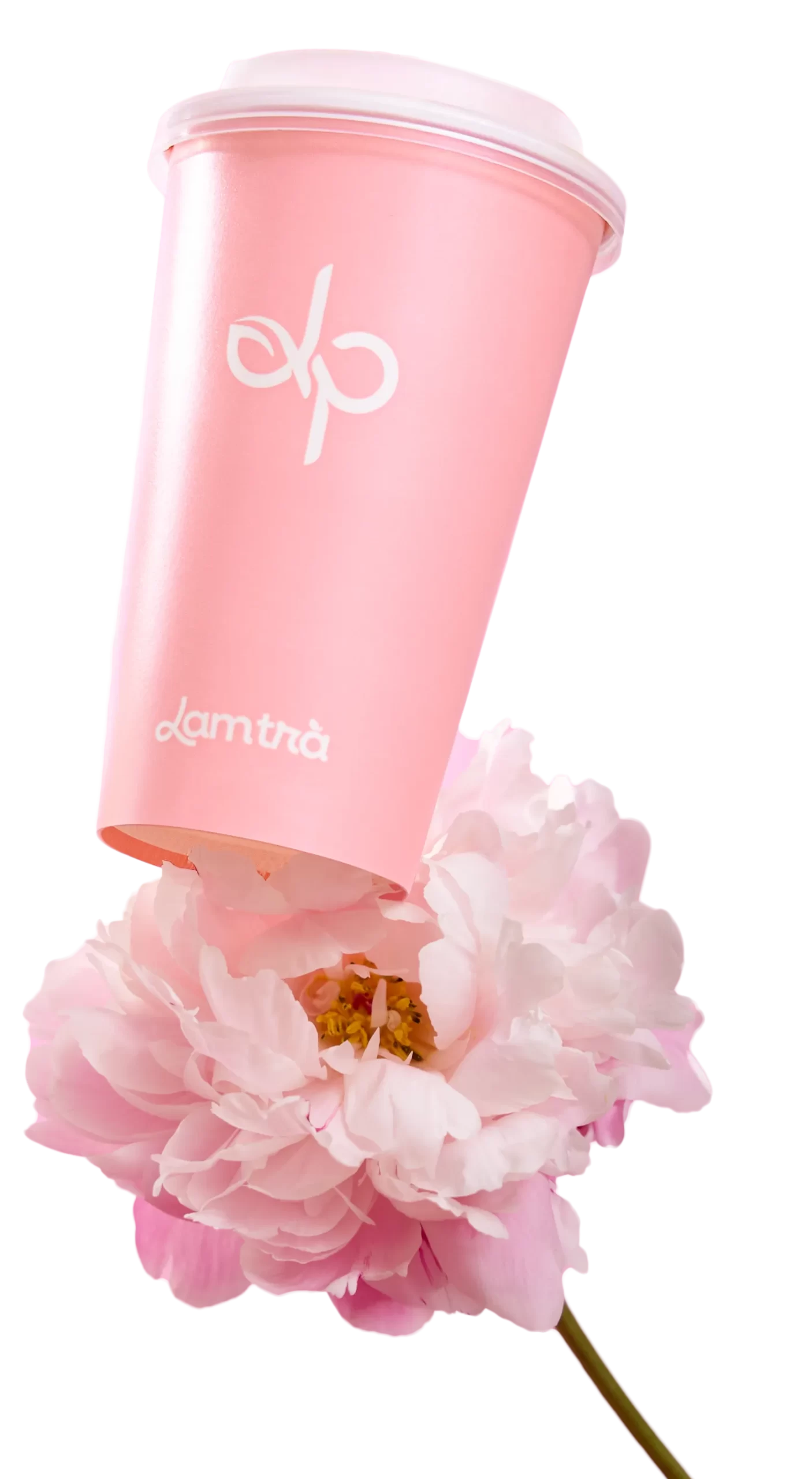 Câu Chuyện 
Nhà Lam 