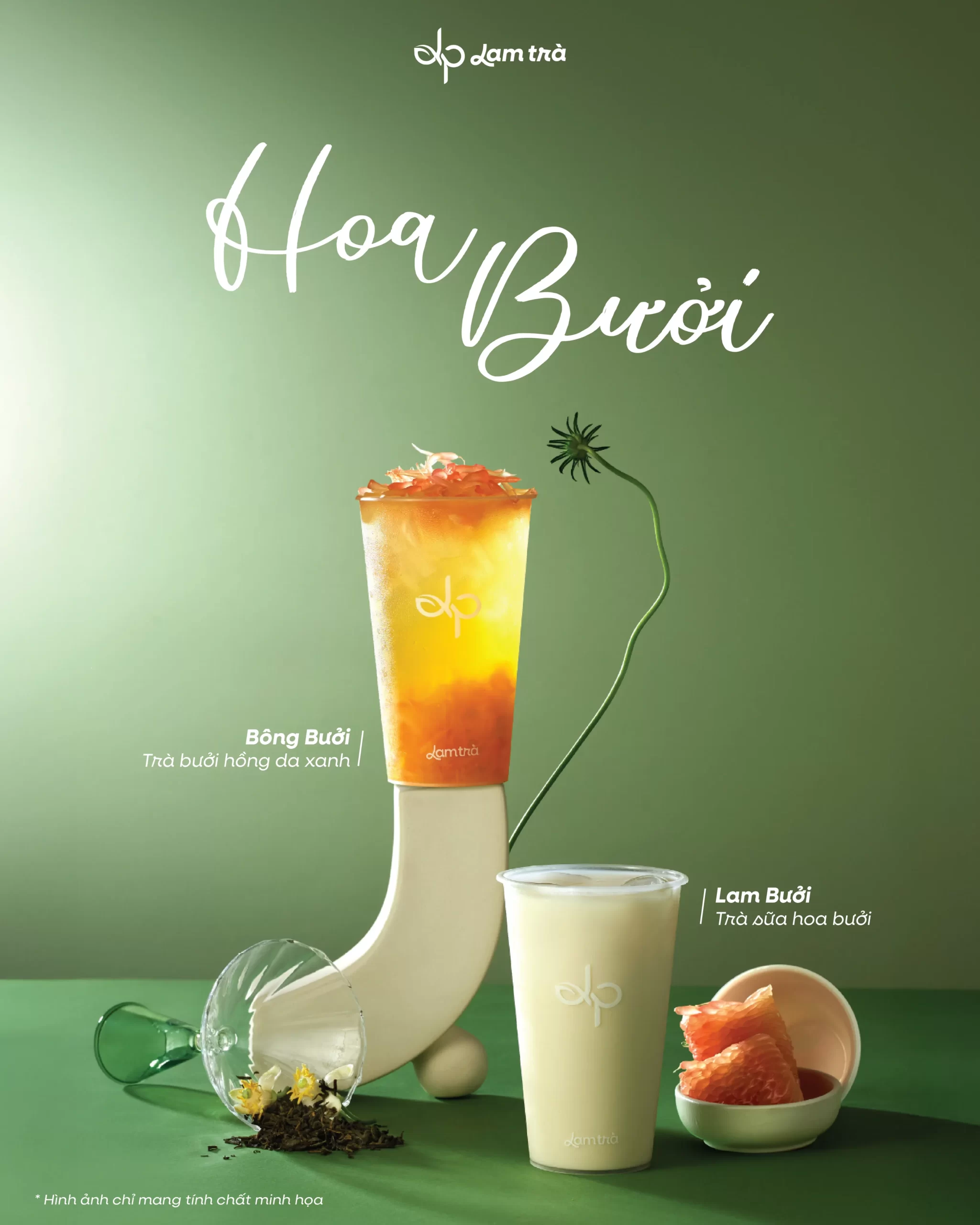 HOA BƯỞI MỘT THOÁNG HƯƠNG HOA, TRỌN VỊ TRÁI LÀNH